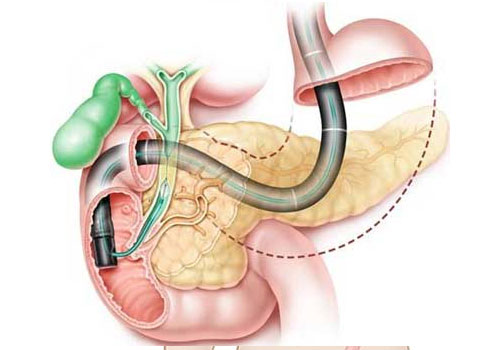 Dr. Kshitiz saran Clinic Gallery  Image 13