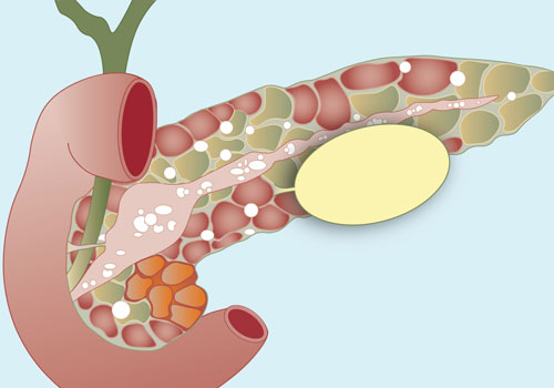 Dr. Dr. Kshitiz saran Clinic Gallery - Image 14