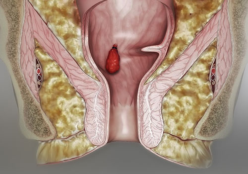 Dr. Neeraj Dhar gallery image